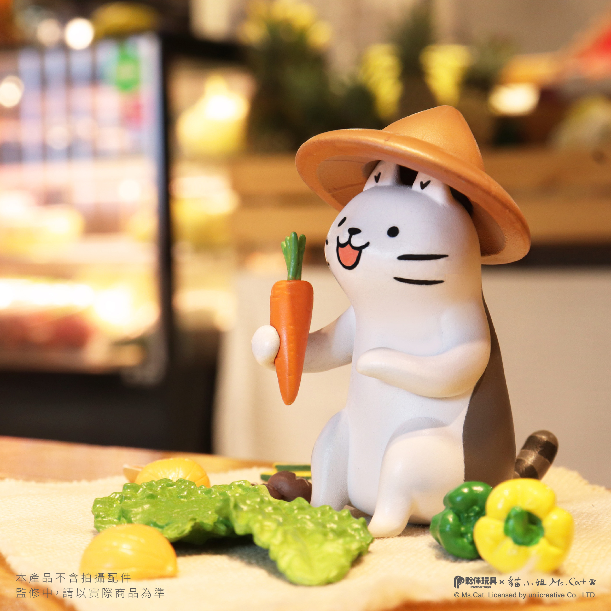 青菜蘿蔔斗笠貓_0.jpg